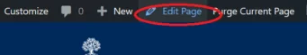 If you are logged in with Editor or Editor Requiring Approval permissions, you will see an admin menu bar at the top of each page. Click Edit Page to access the page editor.